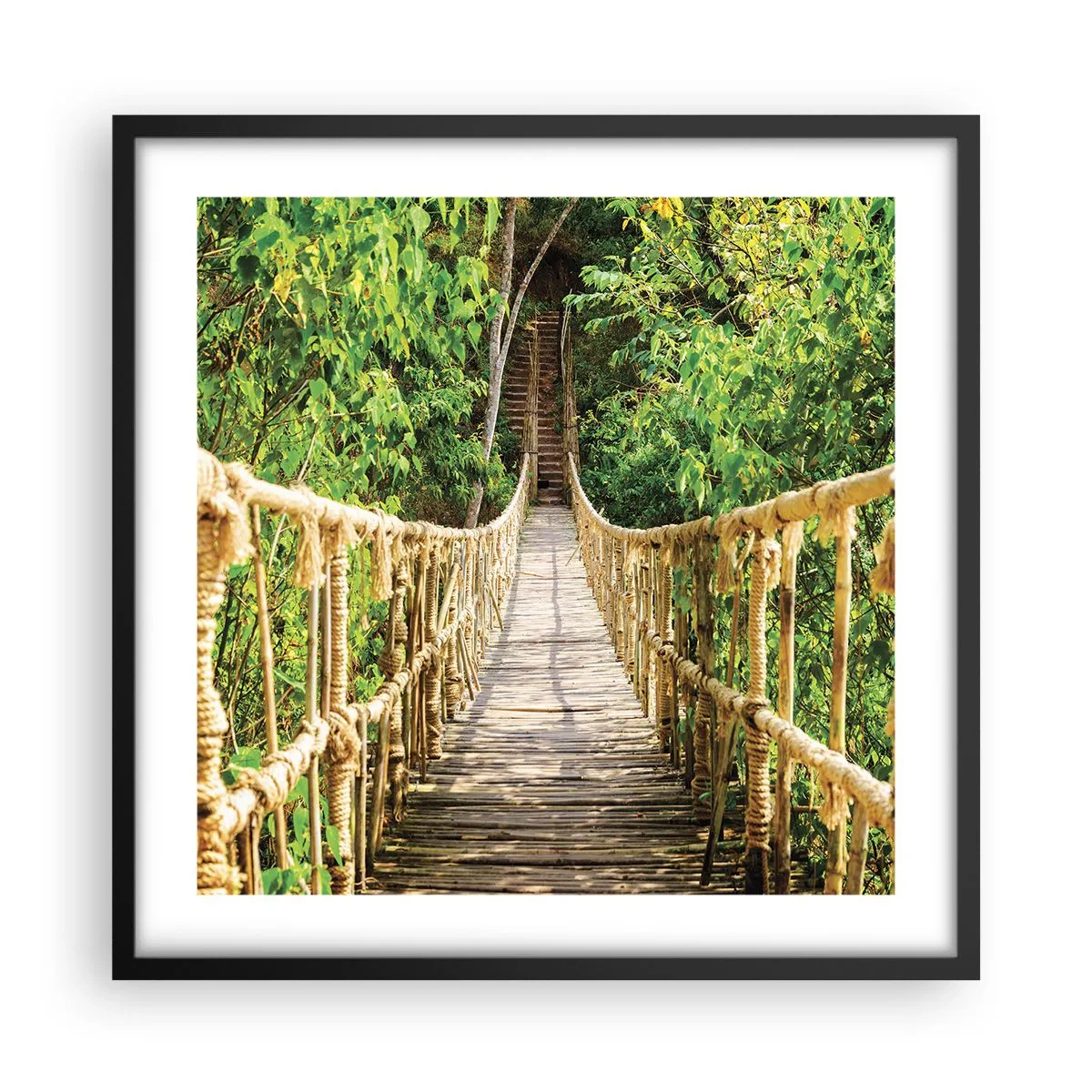 Pôster com moldura preta - Suspenso na vegetação - 50x50 cm