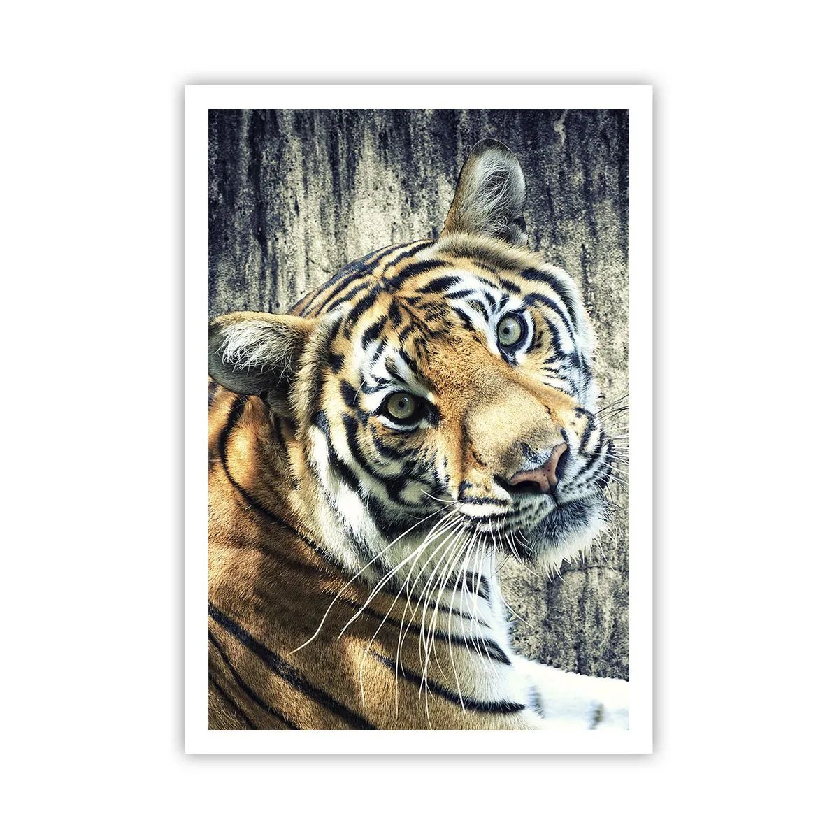 Pôster - Retrato em feixes de luz - 70x100 cm