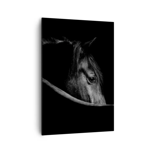 Quadro em tela - Príncipe Negro - 70x100 cm