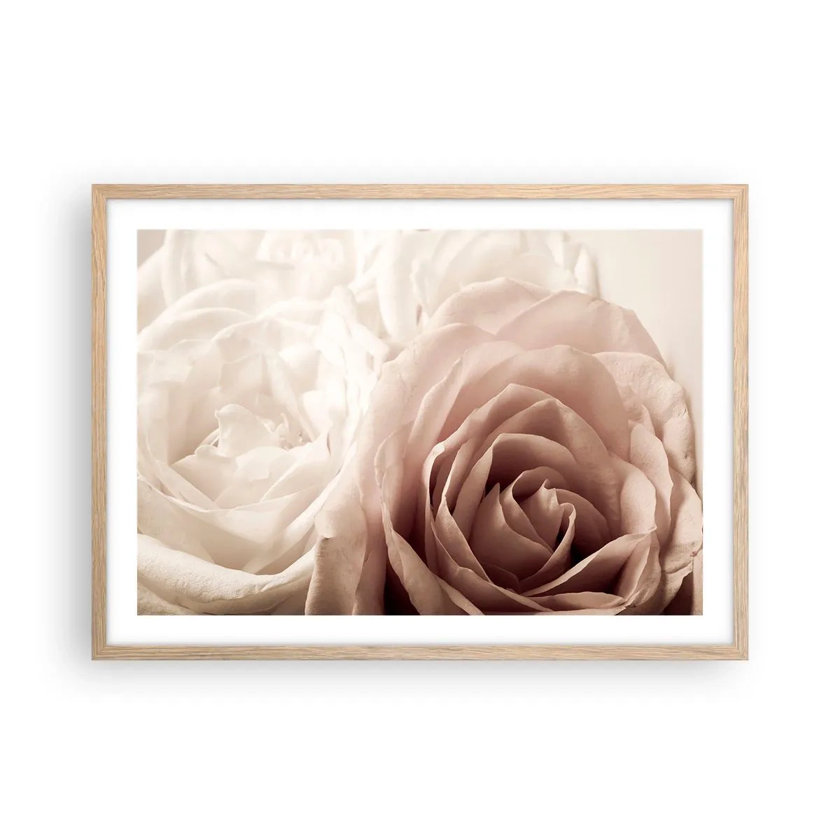 Pôster com moldura de carvalho claro - No coração de uma rosa - 70x50 cm