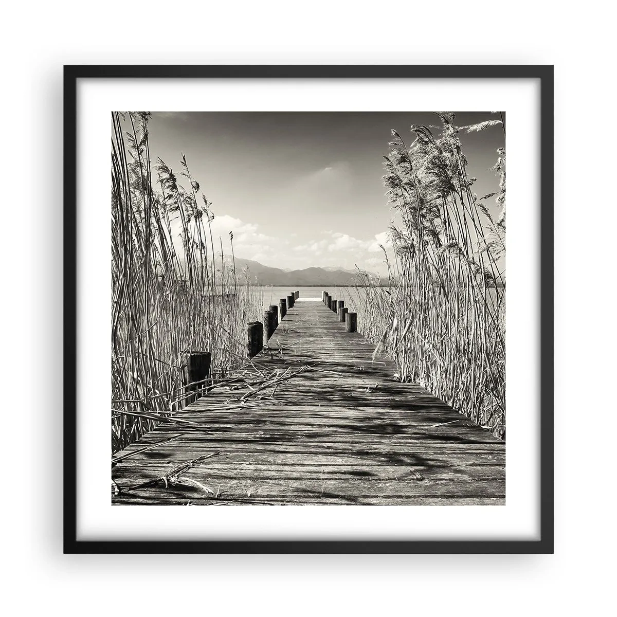 Pôster com moldura preta - No silêncio da relva - 50x50 cm