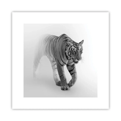 Pôster - À espreita na névoa - 30x30 cm