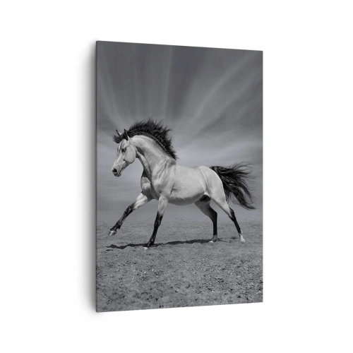 Quadro em tela - Nascido para encantar - 70x100 cm