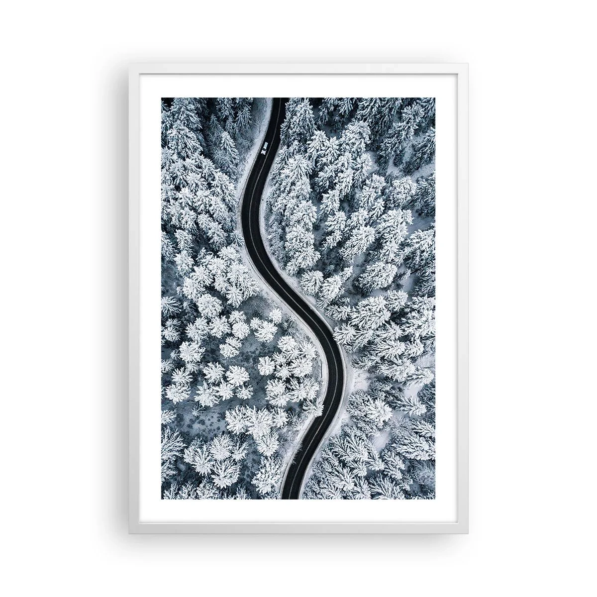 Pôster em moldura branca - Pelaa floresta no inverno - 50x70 cm