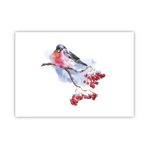 Pôster - Inverno a cores - 70x50 cm