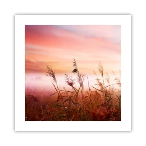 Pôster - Papagaios, balões, vento - 40x40 cm