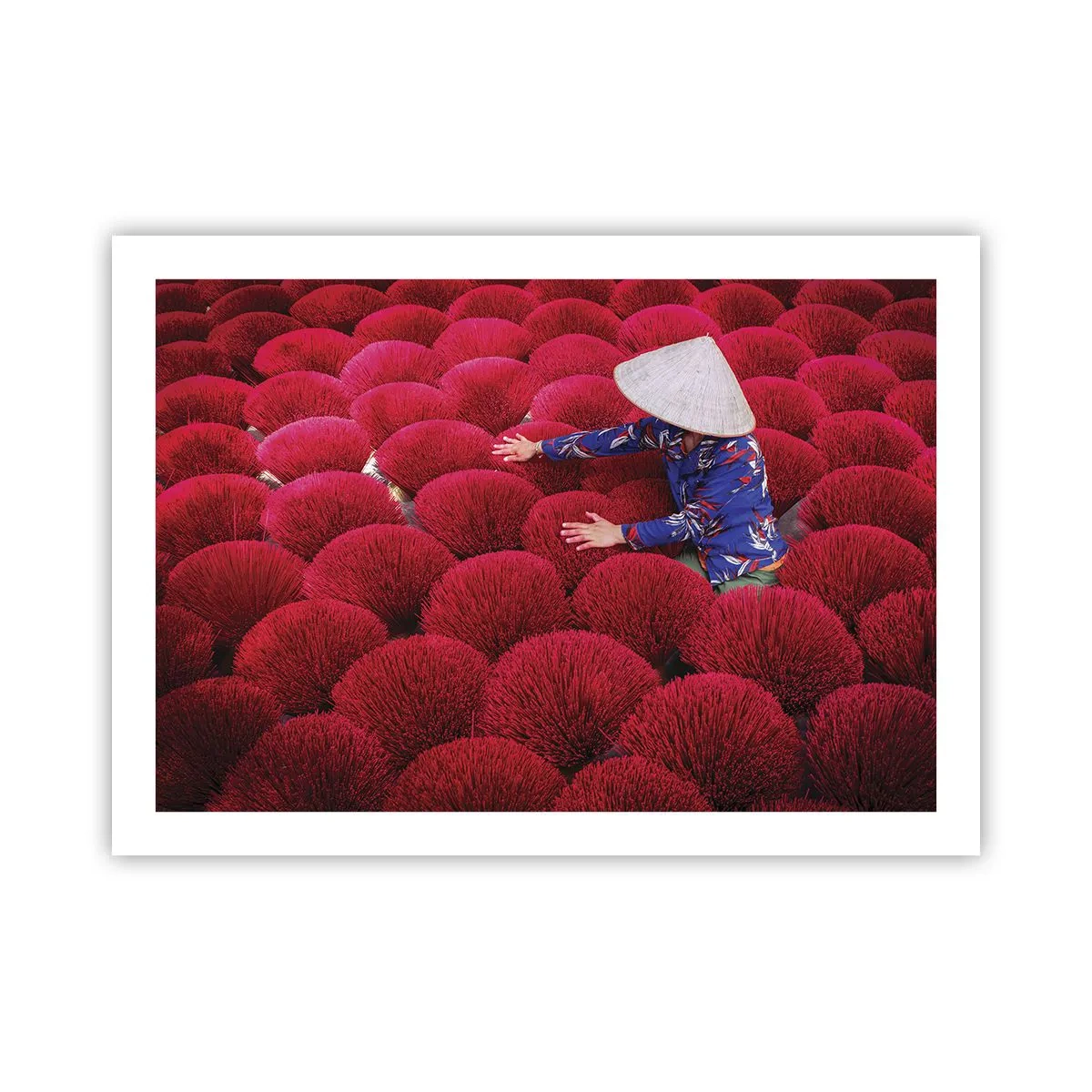 Pôster - No campo de arroz - 70x50 cm