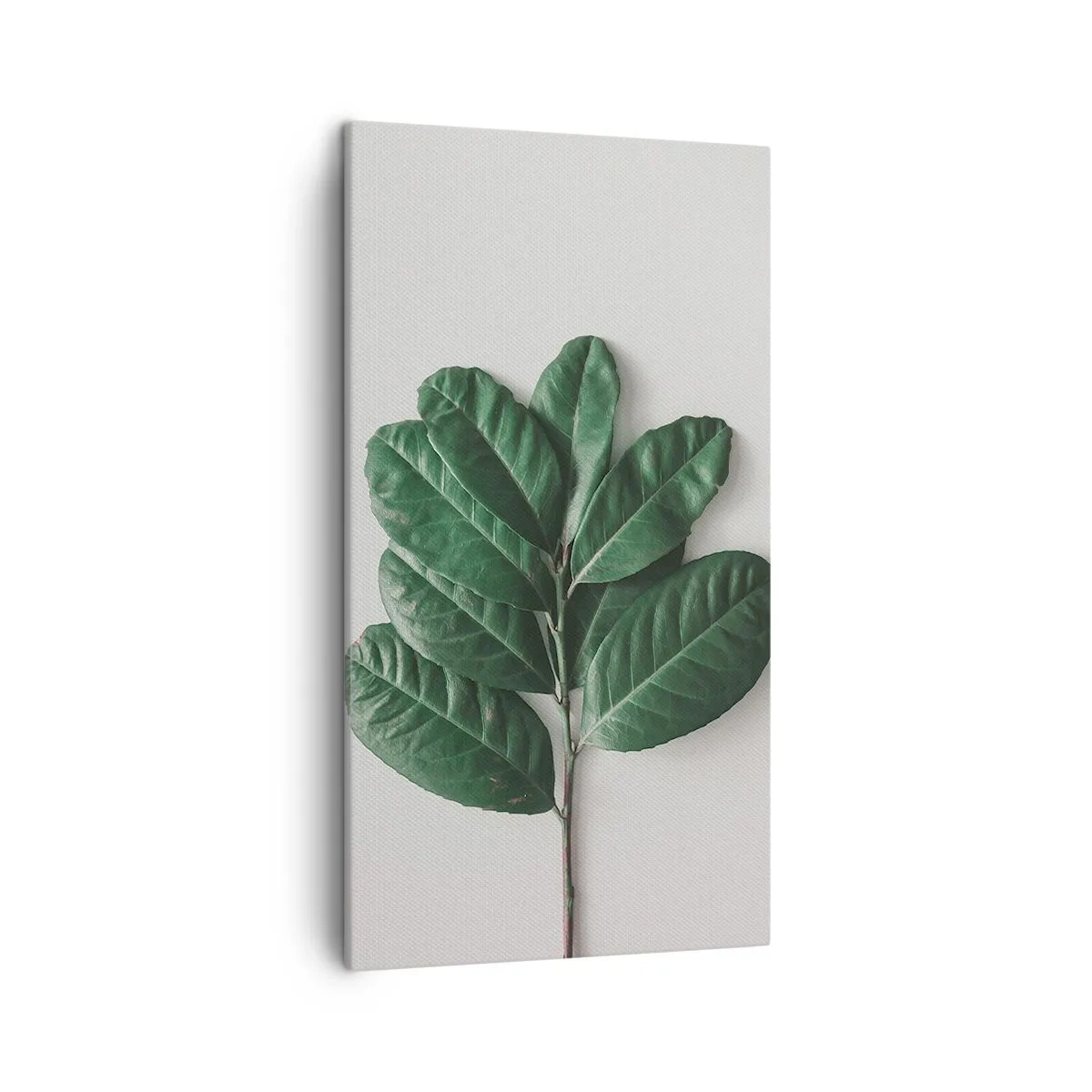 Quadro em tela - Desenho da própria natureza - 45x80 cm