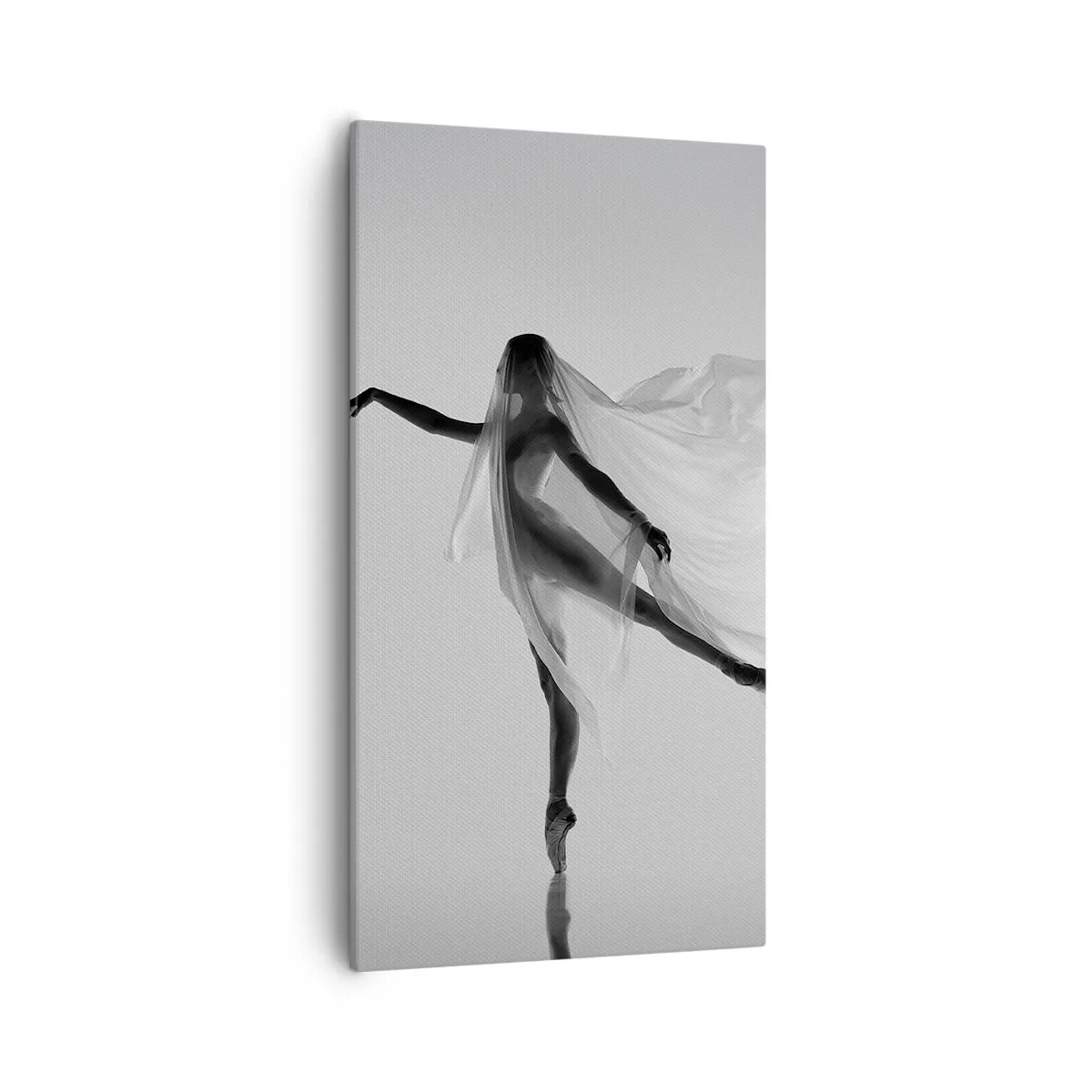 Quadro em tela - Leveza e graça - 55x100 cm