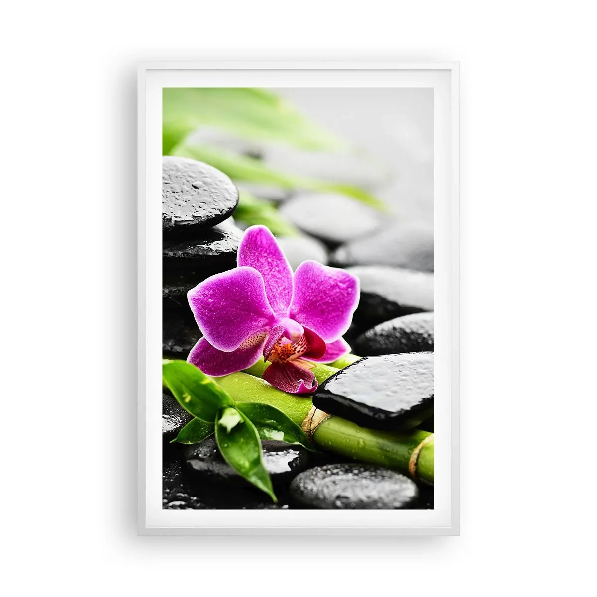 Pôster em moldura branca - Calmo equilíbrio - 61x91 cm