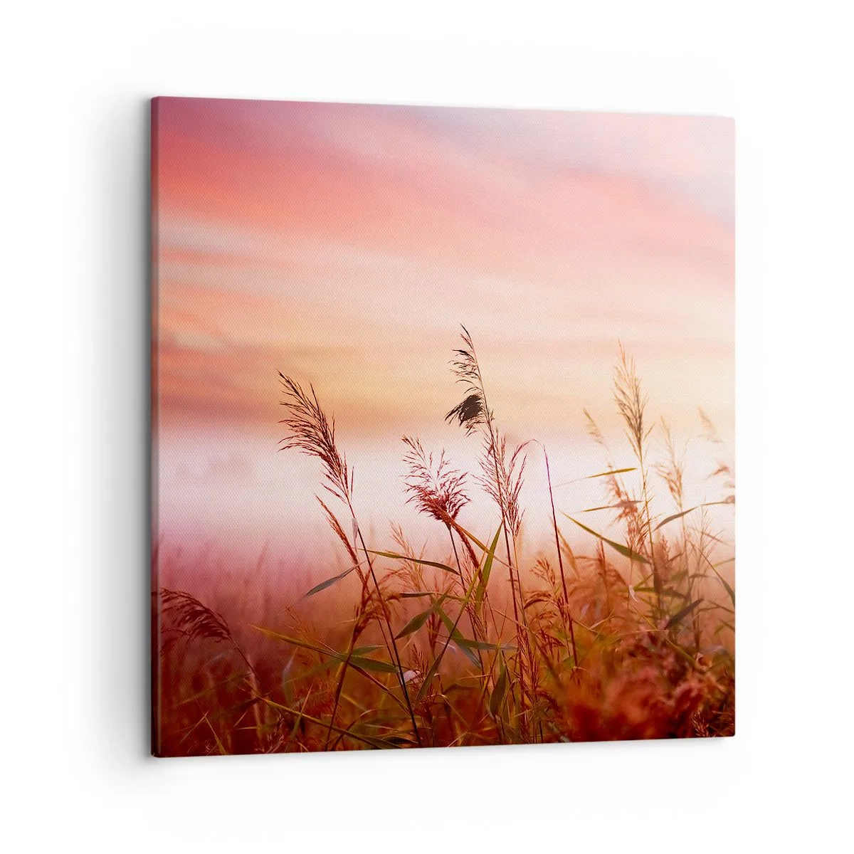 Quadro em tela - Papagaios, balões, vento - 50x50 cm