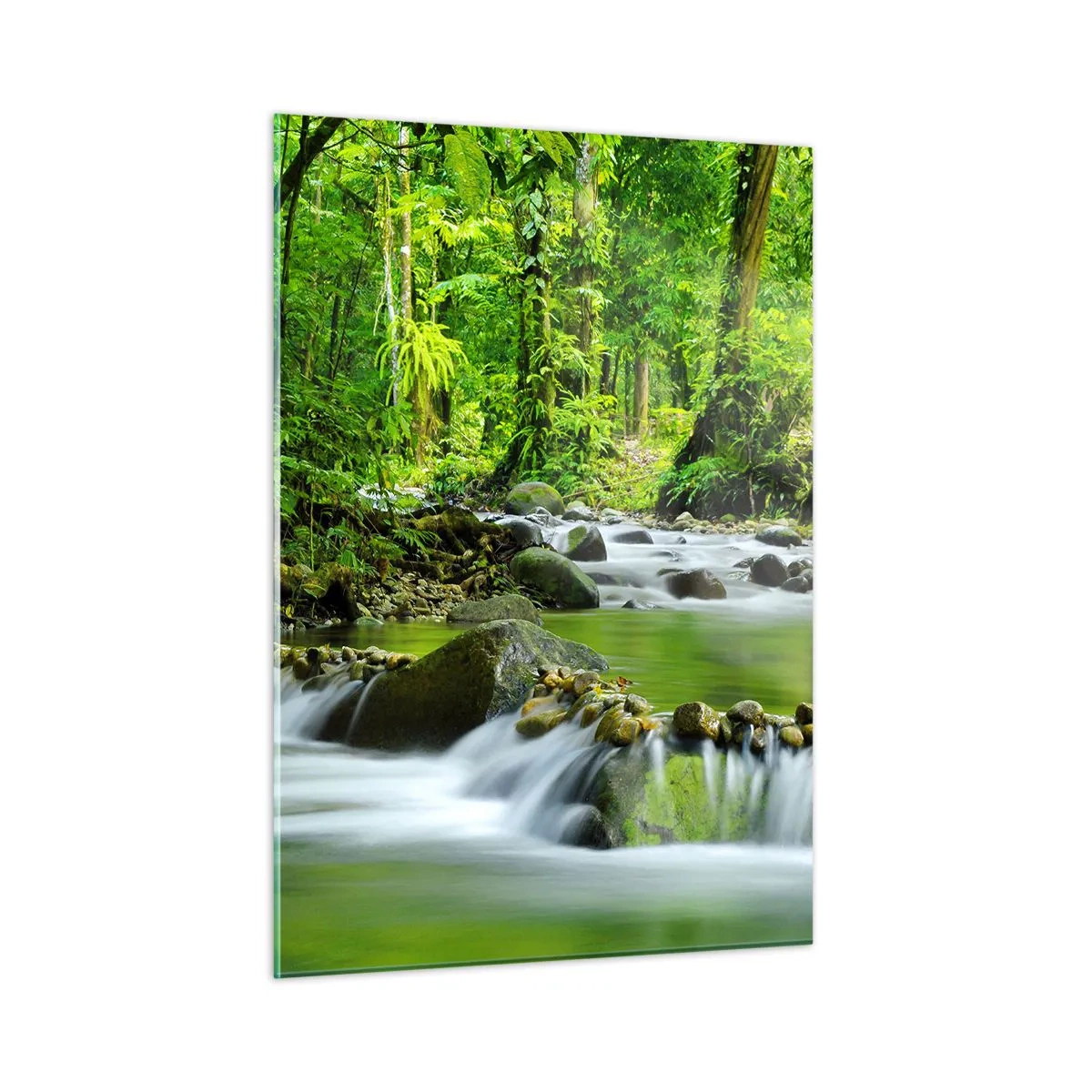 Quadro em vidro - Navegar no mar de vegetação - 50x70 cm