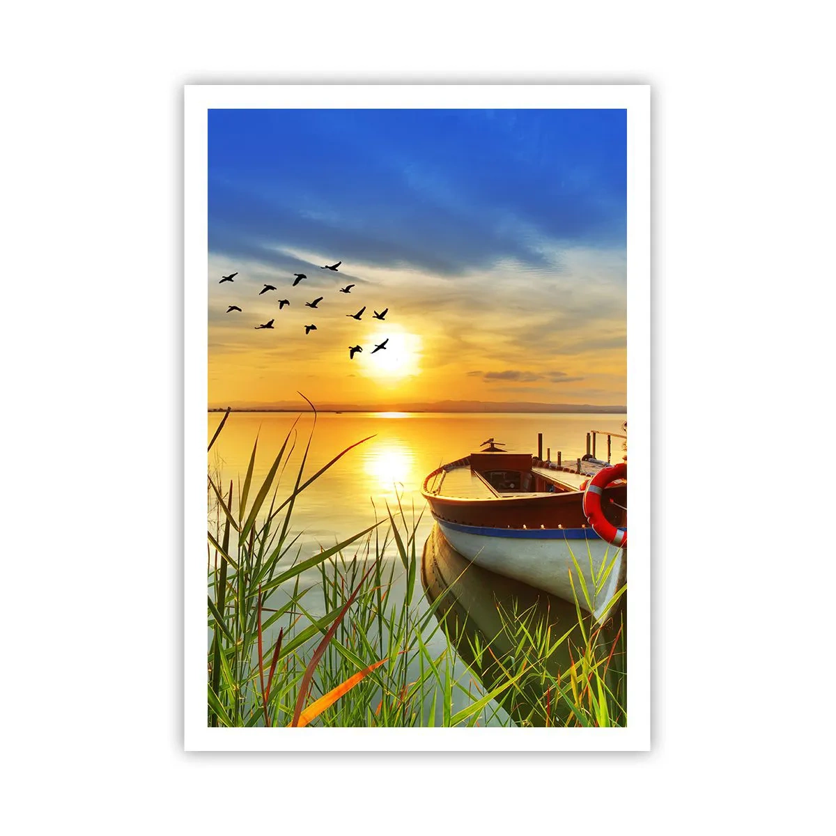 Pôster - Os corvos-marinhos já estão de saída - 70x100 cm