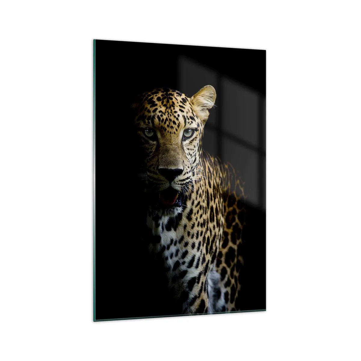 Quadro em vidro - Beleza escura - 70x100 cm