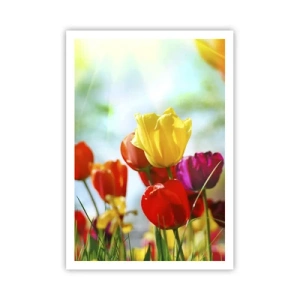 Pôster - Todas as cores do sol - 70x100 cm