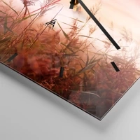 Mostrador com traços