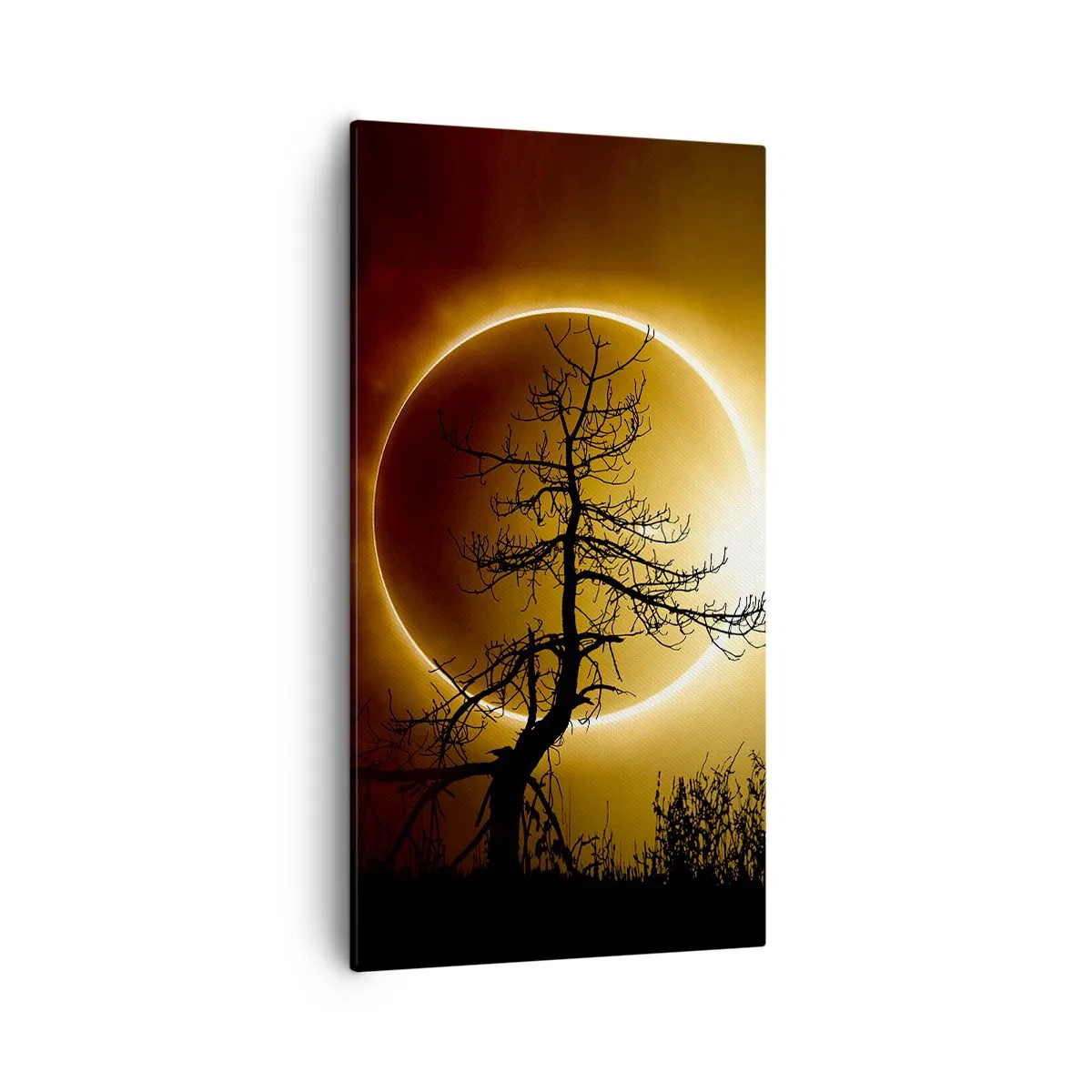 Quadro em tela - Eclipse total - 55x100 cm