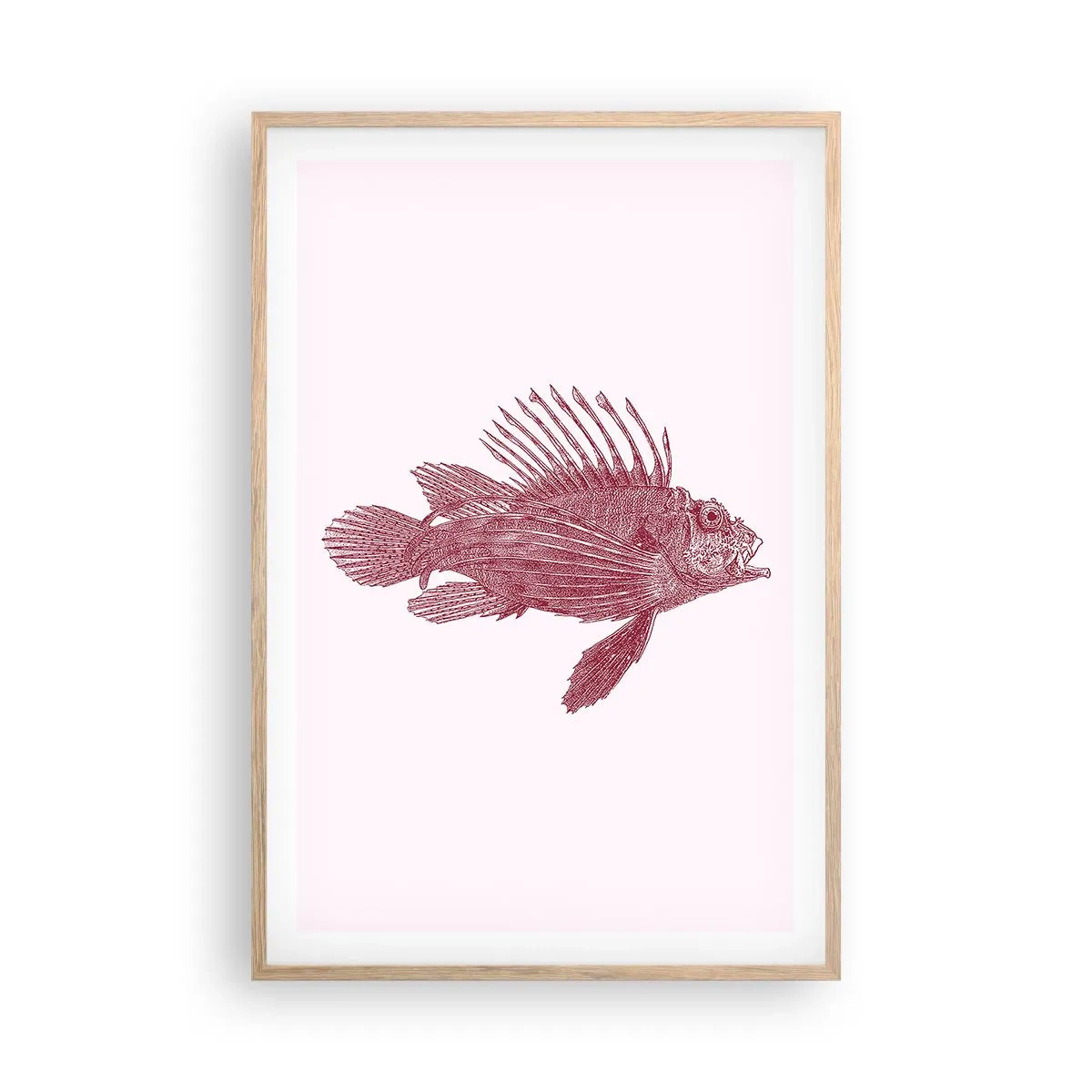 Pôster com moldura de carvalho claro - Um habitante de águas exóticas - 61x91 cm