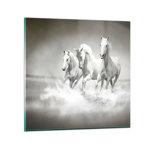 Quadro em vidro - Loucura branca - 30x30 cm