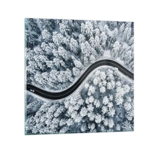 Quadro em vidro - Pelaa floresta no inverno - 40x40 cm