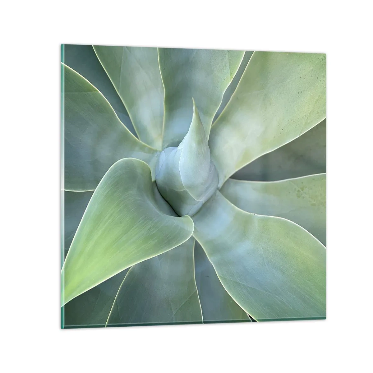 Quadro em vidro - O nascimento da vegetação - 40x40 cm