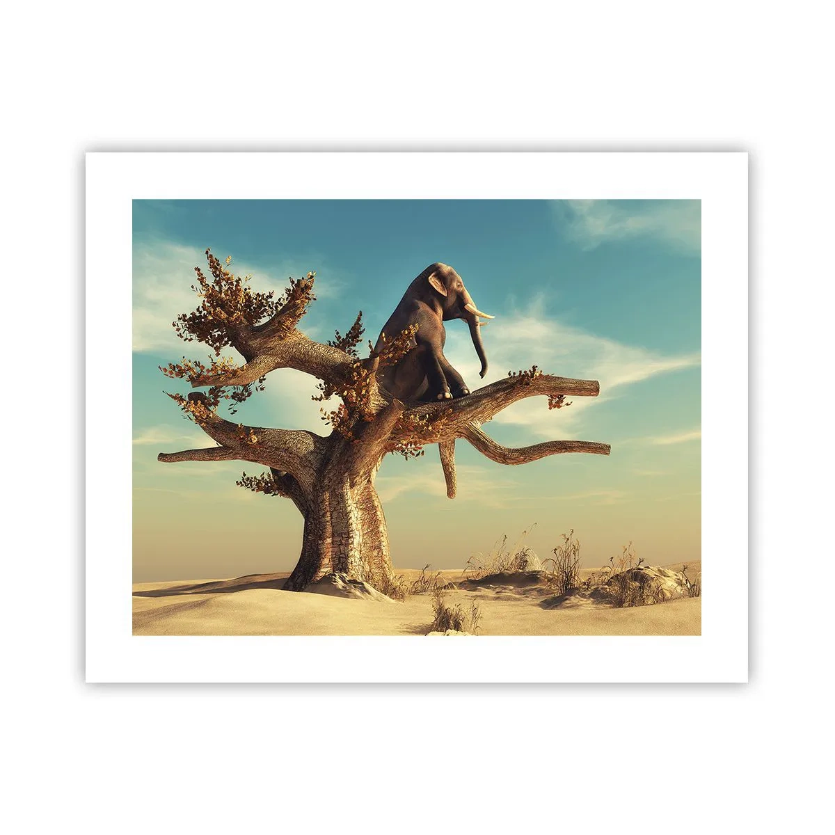 Pôster - Um novo ponto de vista - 50x40 cm