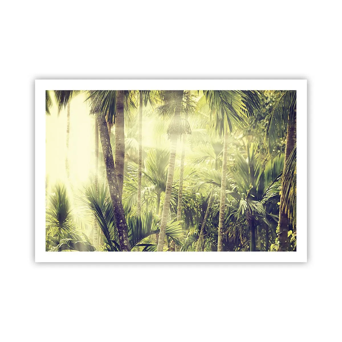 Pôster - No calor verde - 91x61 cm