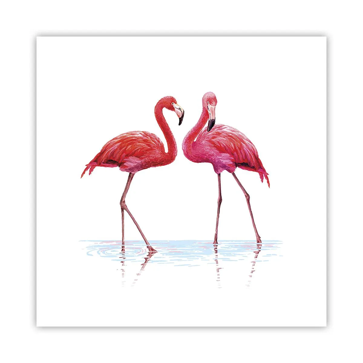Pôster - Rosa randez-vous - 30x30 cm