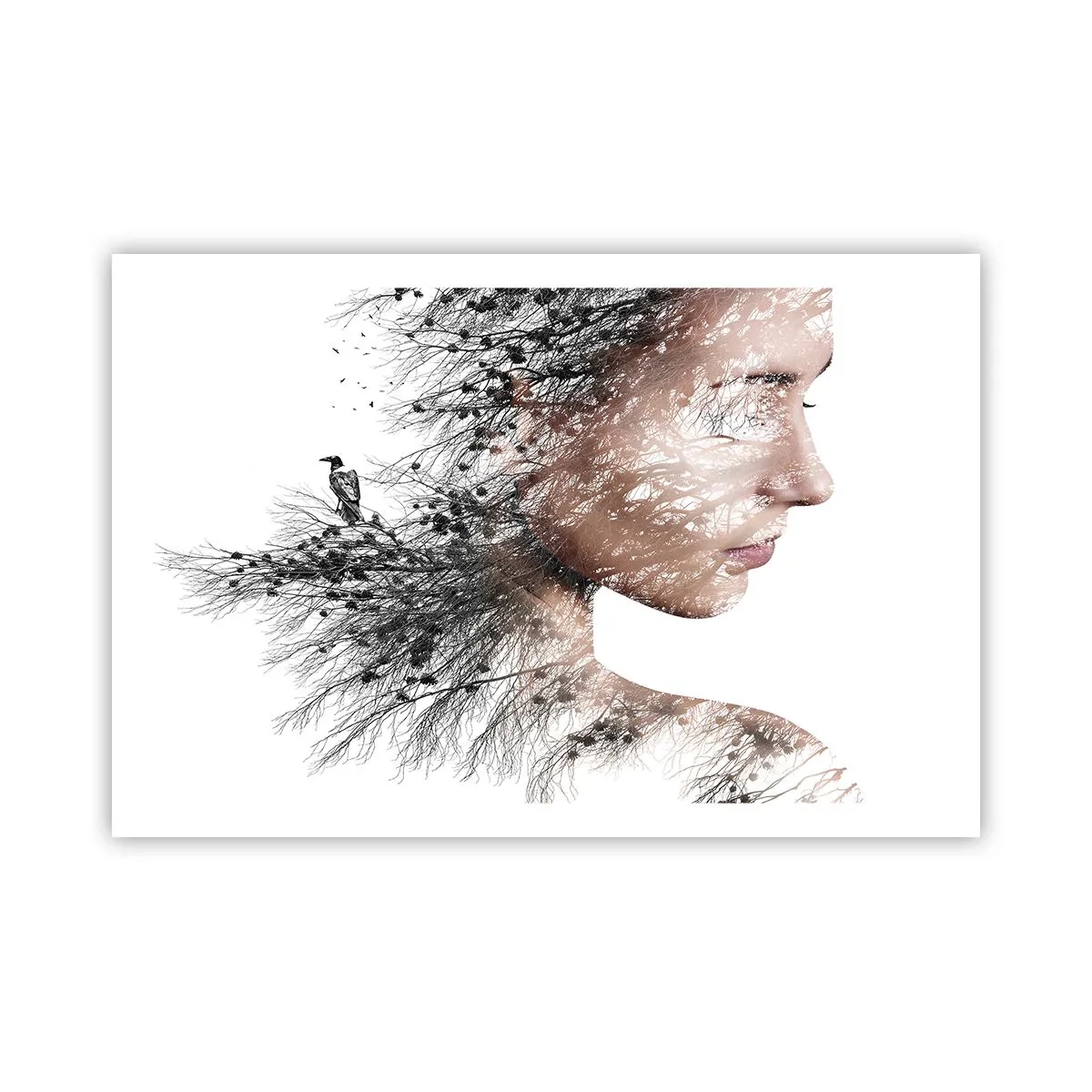 Pôster - Espírito da floresta - 91x61 cm