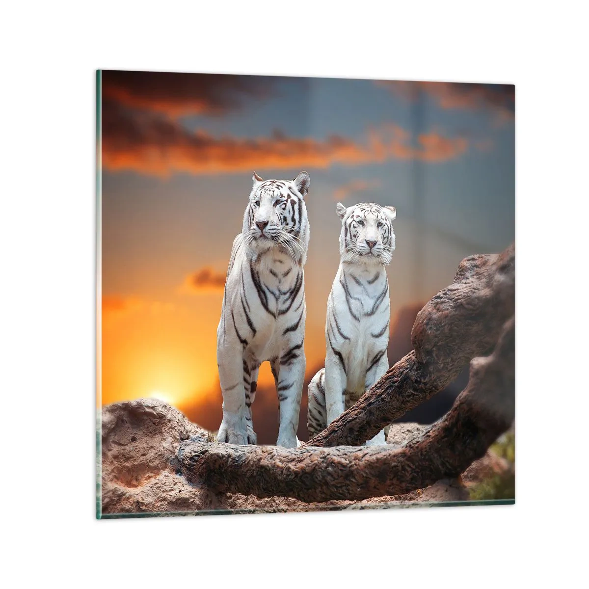 Quadro em vidro - Tal como em Nárnia - 30x30 cm