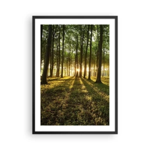 Pôster com moldura preta - Uma floresta iluminada pelos raios do sol poente - 50x70cm - Fotografia de todas as primaveras - Decoração de parede moderna para a sala de estar e quarto ARTTOR