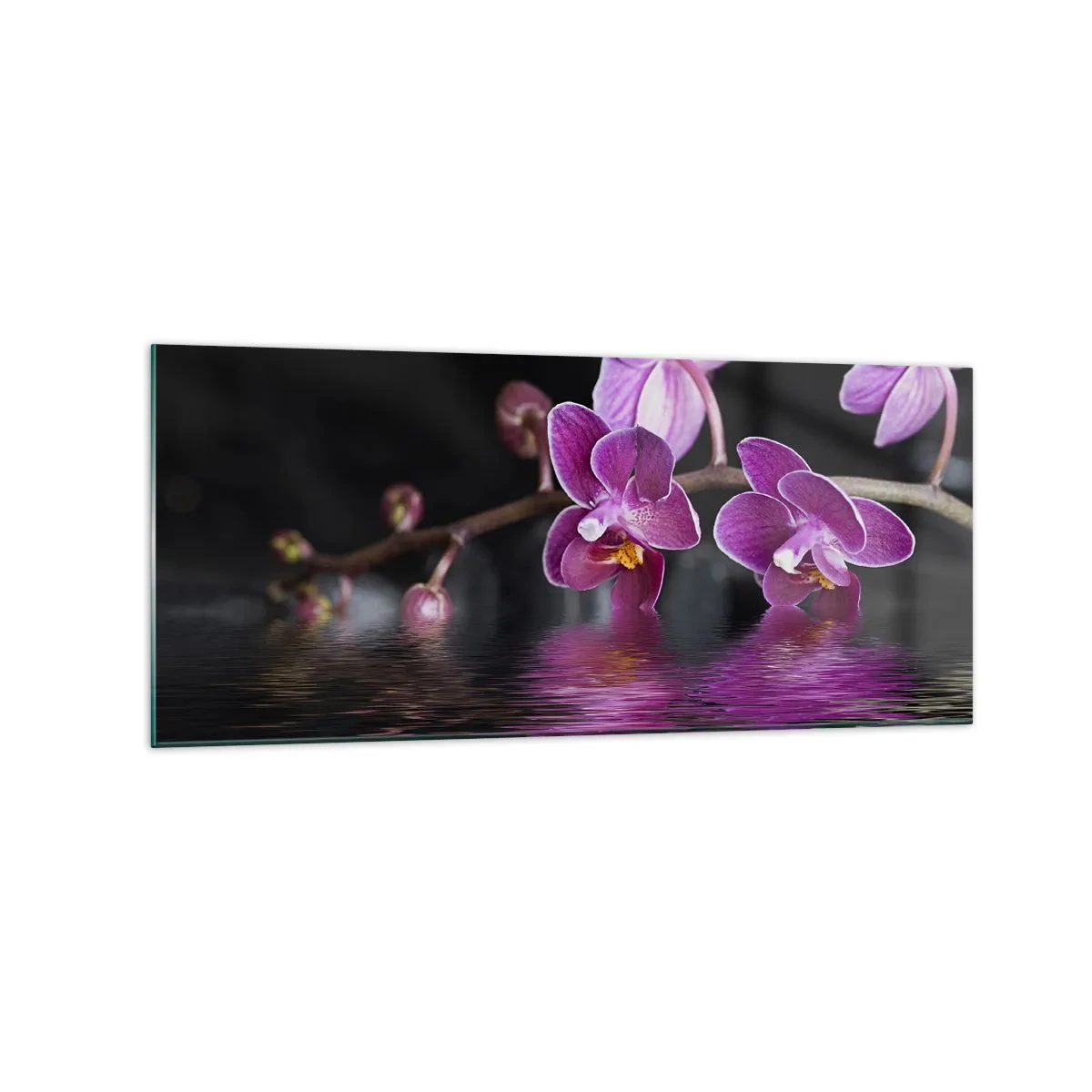 Quadro em vidro - Reflexo lilás da beleza - 120x50 cm
