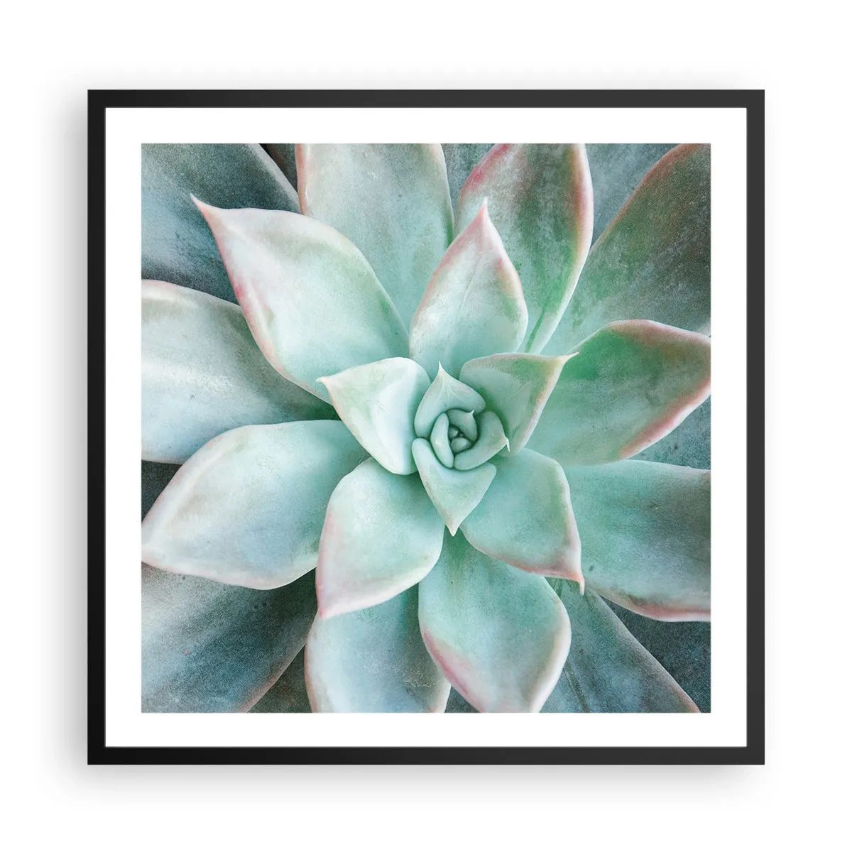 Pôster com moldura preta - O coração do deserto - 60x60 cm