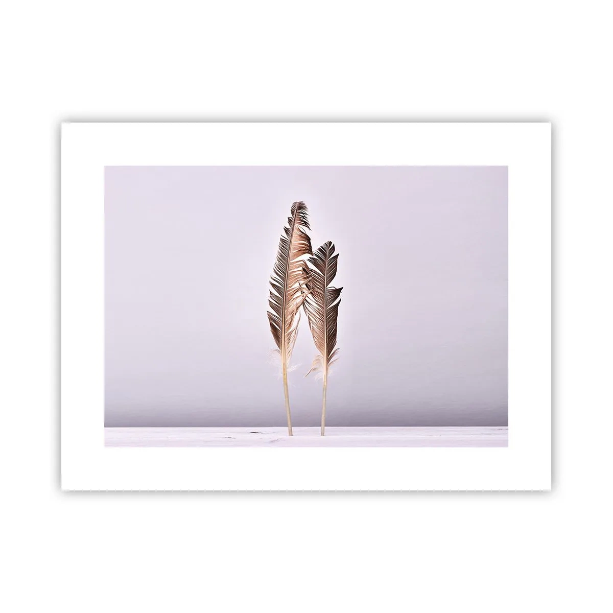 Pôster - Contra o nada - 40x30 cm