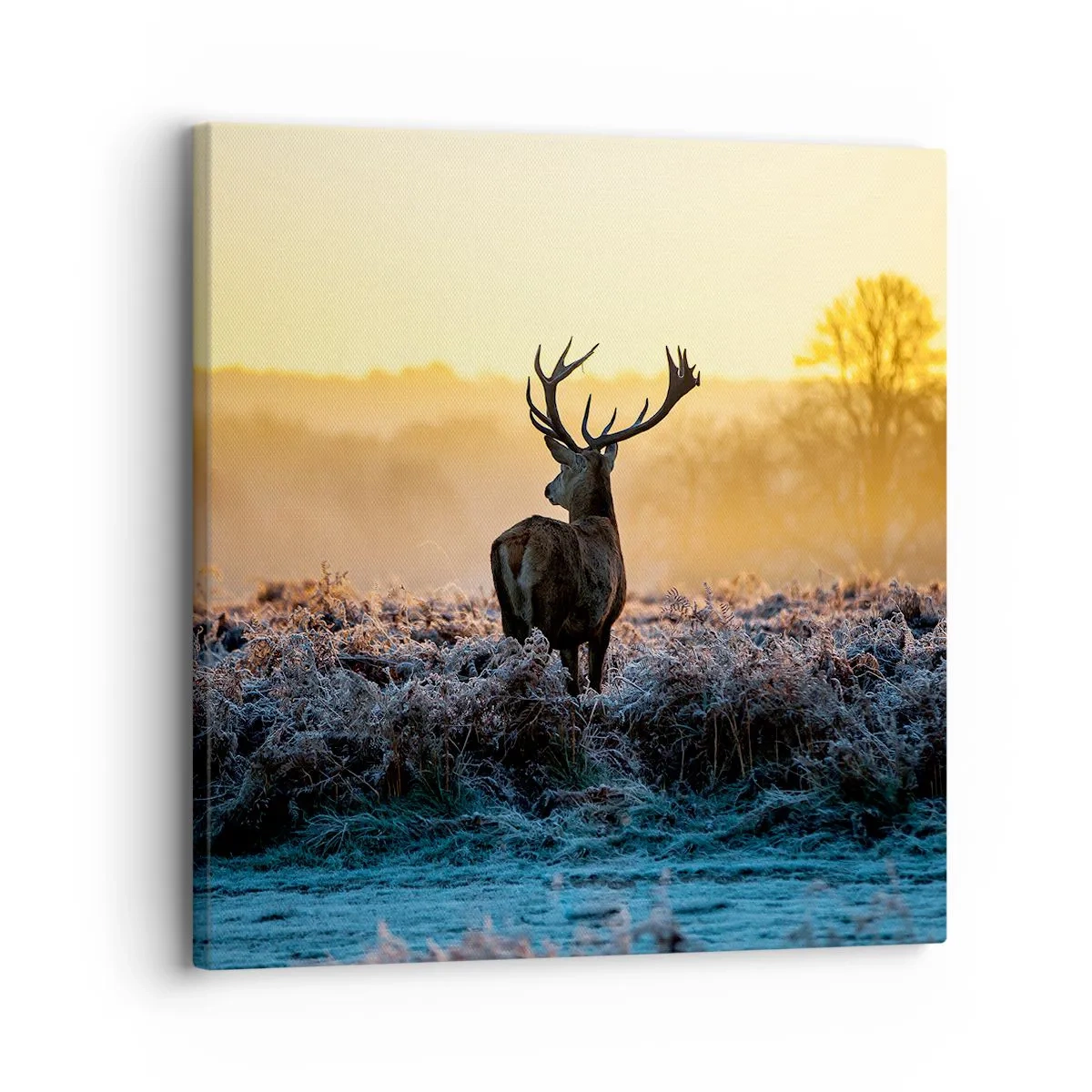 Quadro em tela - Coroado em sua terra - 30x30 cm