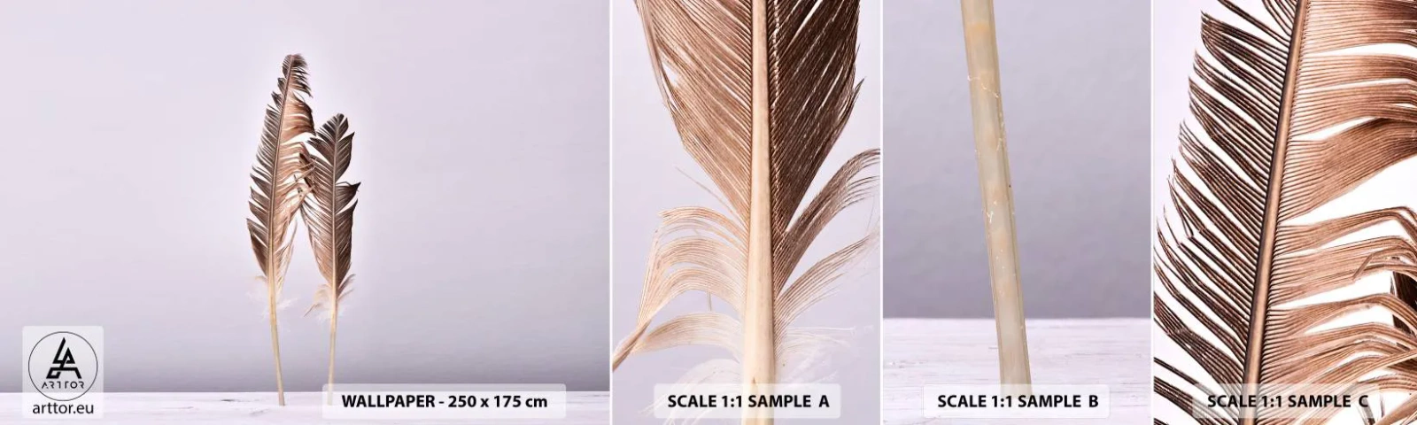 Amostra de papel de parede autocolante Deluxe Sticker - Contra o nada - Pena de pássaro, Pedaço, Gráficos - 100x30 cm