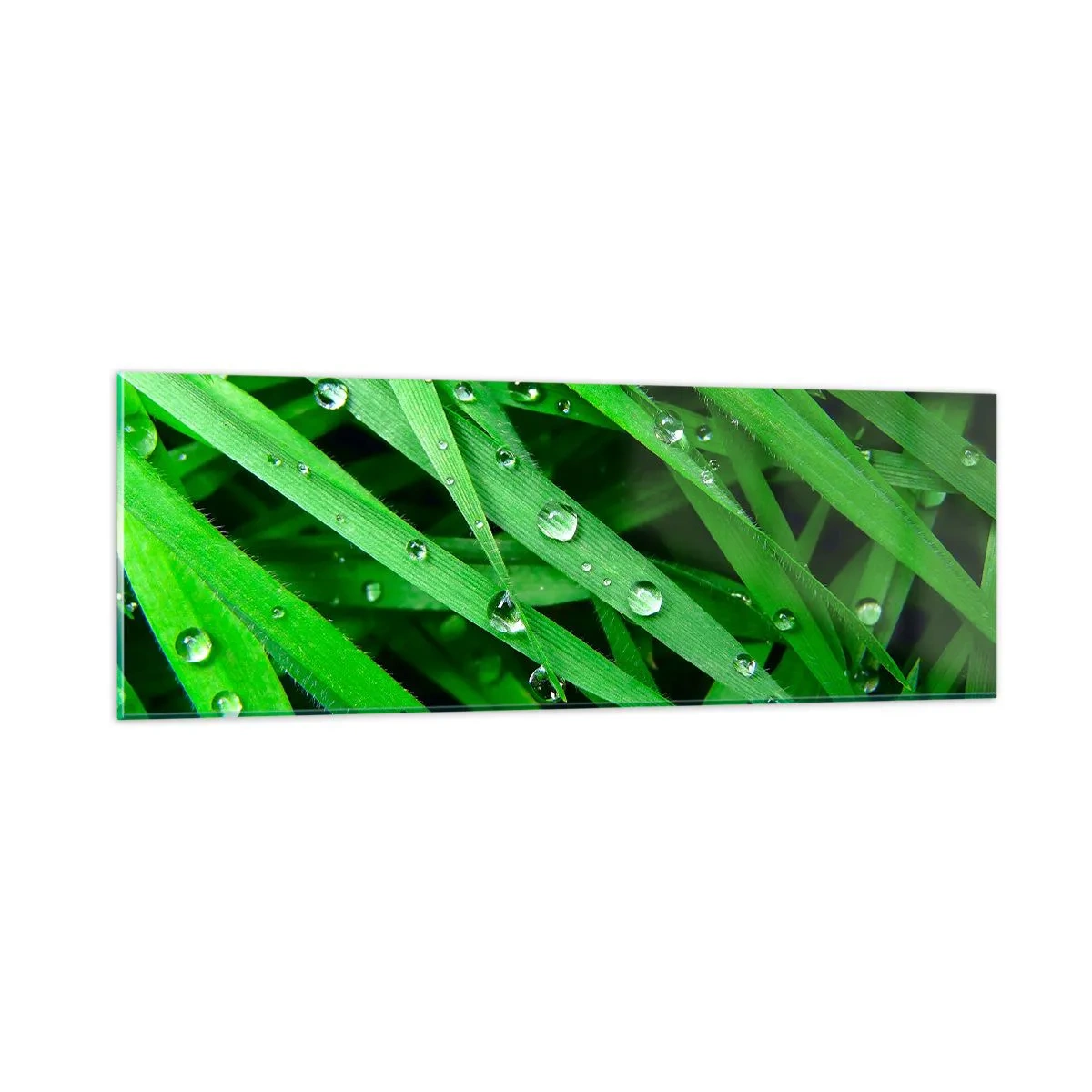 Quadro em vidro - Jogue no verde - 90x30 cm