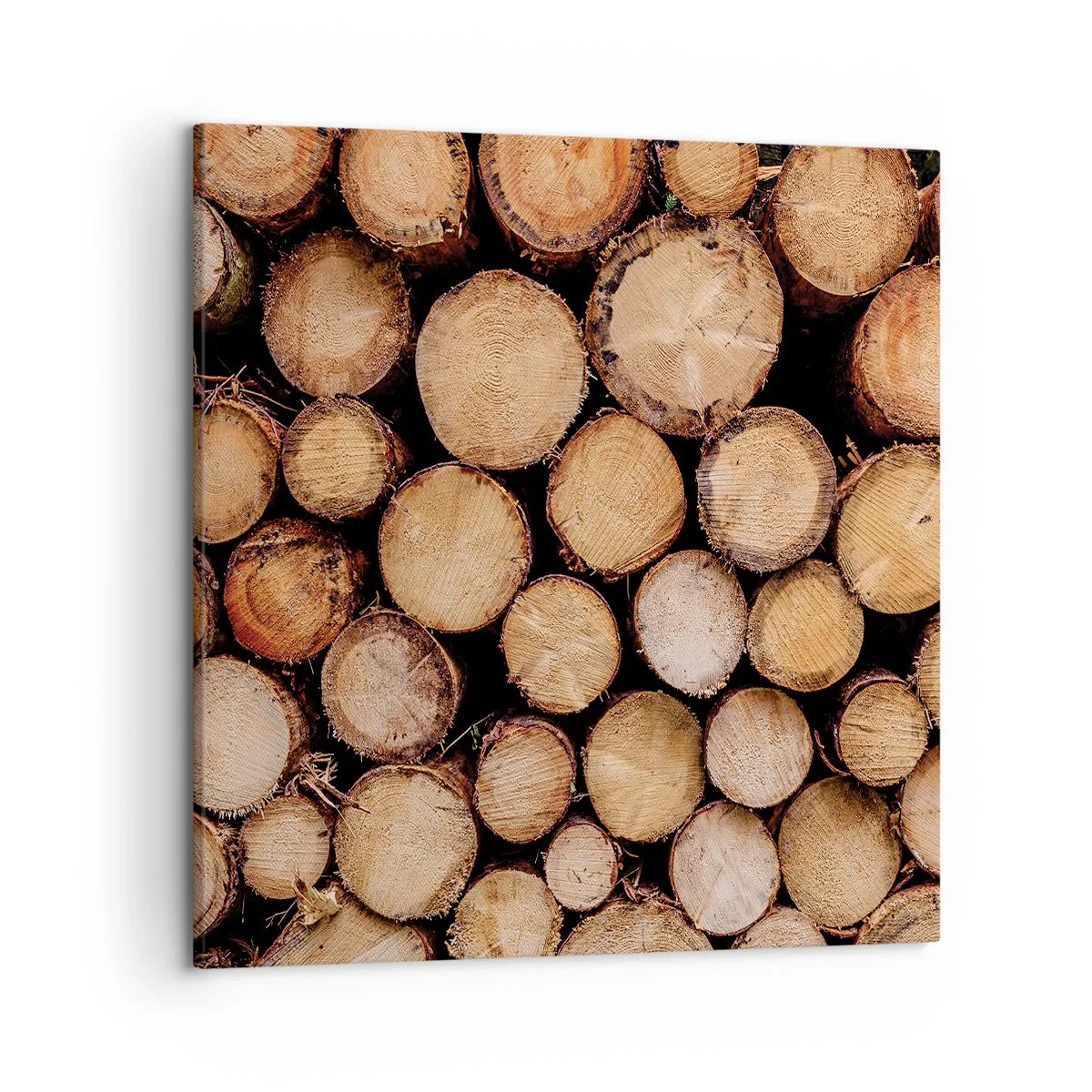 Quadro em tela - Um novo começo - 50x50 cm