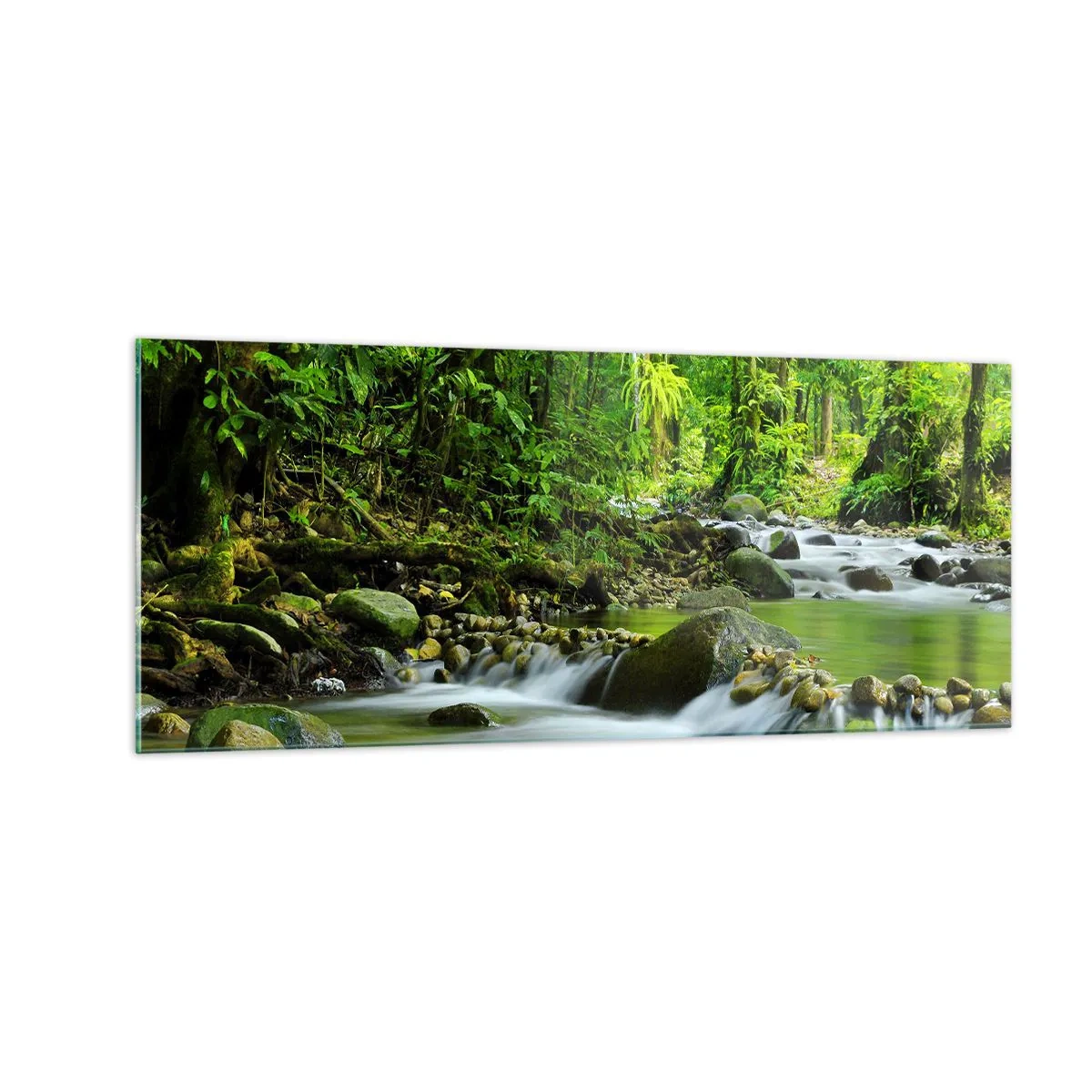 Quadro em vidro - Navegar no mar de vegetação - 100x40 cm