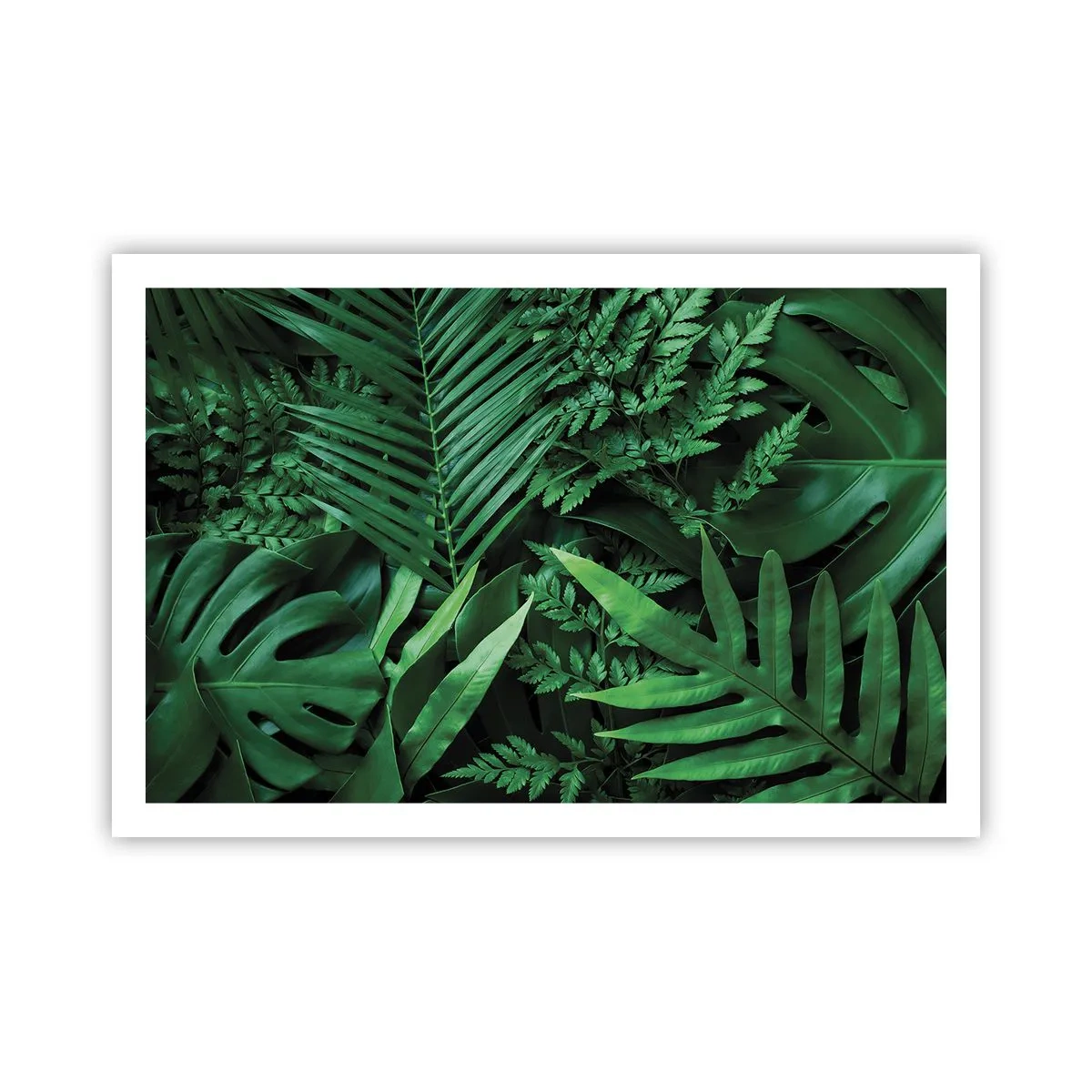 Pôster - Envolto em verde - 91x61 cm