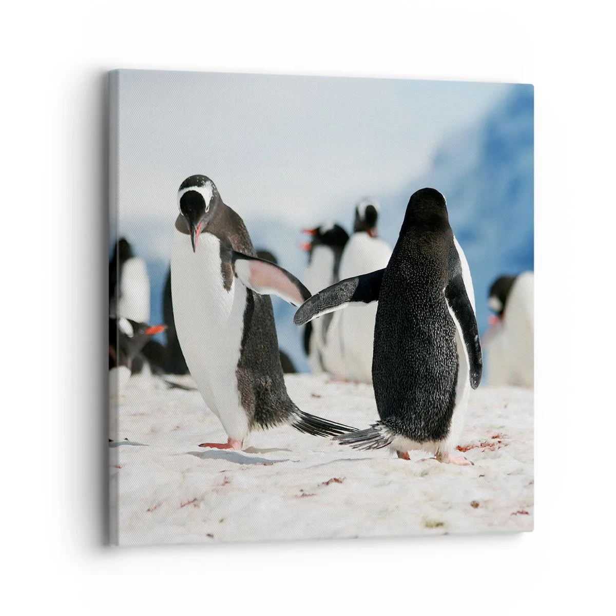 Quadro em tela - Dança na neve - 30x30 cm