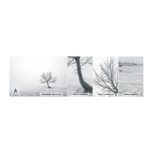 Amostra de Papel de Parede Standard Eco - Contra o nada - Paisagem, Árvore, Natureza - 100x30 cm