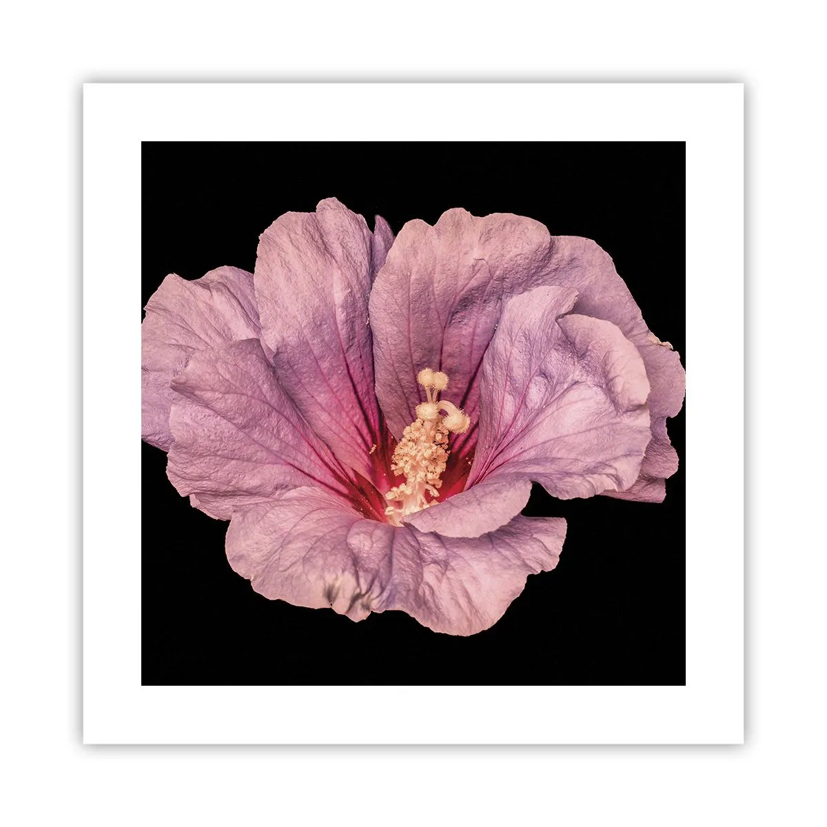 Pôster - Direto para o coração - 40x40 cm