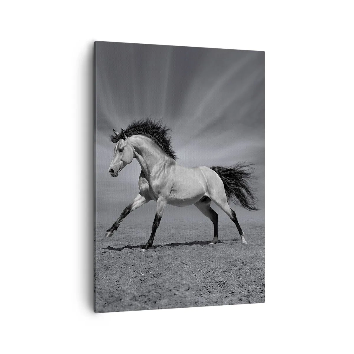 Quadro em tela - Nascido para encantar - 50x70 cm