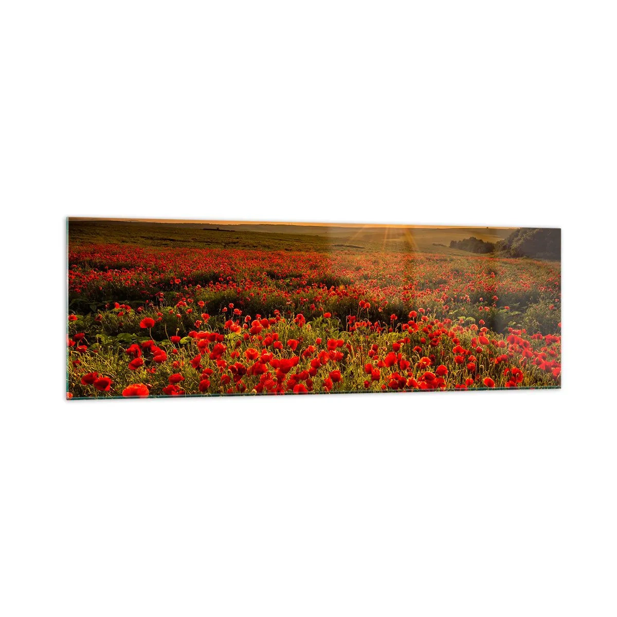 Quadro em vidro - Entre o farfalhar da onda de prados, entre o dilúvio das flores - 160x50 cm