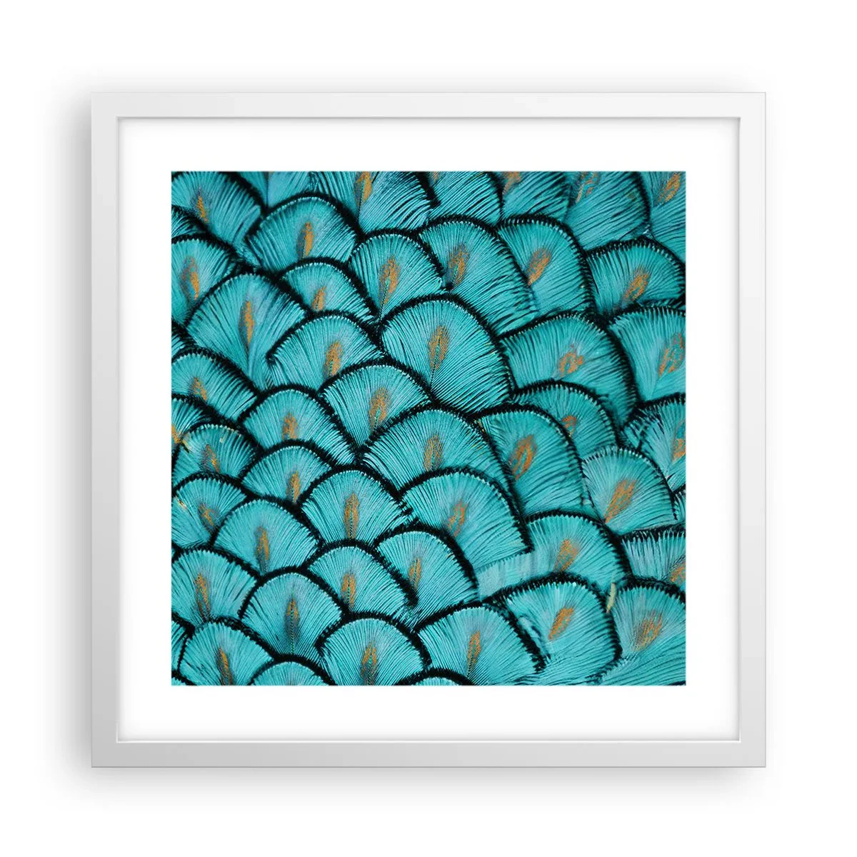 Pôster em moldura branca - A grande gala de penas - 40x40 cm