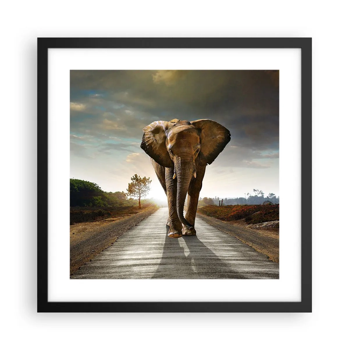 Pôster com moldura preta - Não faz parte da composição da porcela - 40x40 cm