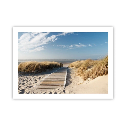 Pôster - Atrás da duna, ao som da relva - 70x50 cm