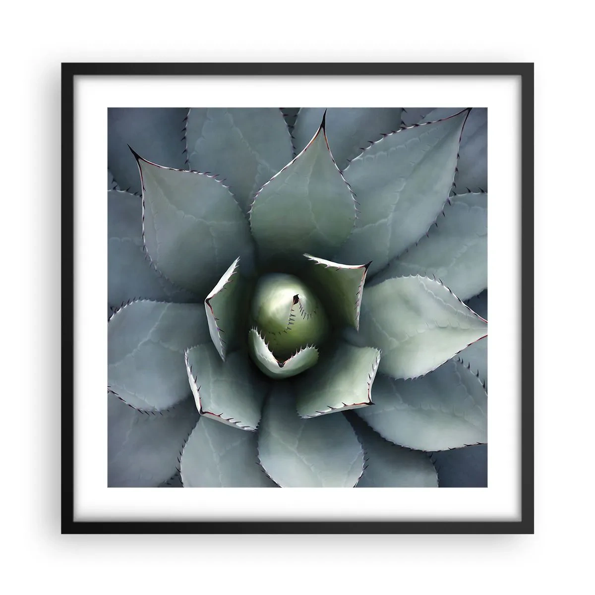 Pôster com moldura preta - Atrai e adverte - 50x50 cm