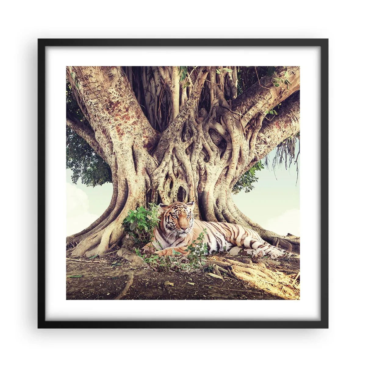 Pôster com moldura preta - Vista do livro de Gênesis - 50x50 cm